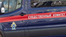 На Алтае директора частного детсада обвинили в хищении госсубсидии на 14 млн рублей