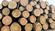 В Иркутске таможенники предотвратили контрабанду в Китай древесины на 150 млн рублей