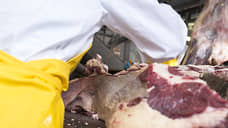 За кражу мясной продукции будут судить два десятка работников агрохолдинга Томской области
