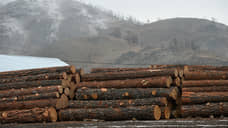 Контрабанда леса в Китай стоимостью более 102 млн рублей пресечена в Иркутске