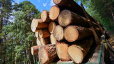 Уголовное дело о контрабанде лесоматериалов на 260 млн рублей возбуждено в Красноярском крае