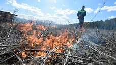 Первый лесной пожар, произошедший из-за пала травы, зарегистрирован в Хакасии