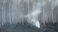 Пожароопасный сезон объявлен в Алтайском крае