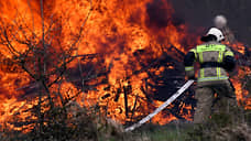В Томской области объявили о начале пожароопасного сезона