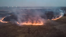 Власти Красноярского края планируют выплачивать вознаграждение за информацию о виновных в природных пожарах