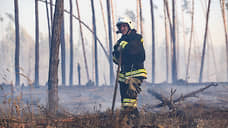 Четыре уголовных дела возбуждены по фактам лесных пожаров в Томской области