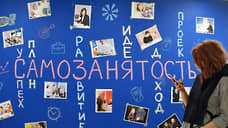 Число самозанятых в Новосибирской области удвоилось за год