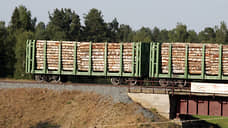 Красноярские таможенники пресекли контрабанду леса в Китай на 123 млн рублей