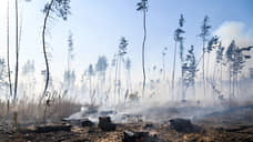 В Иркутской области для тушения лесных пожаров вызывали искусственные дожди
