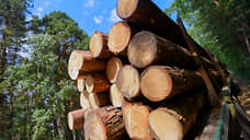 Обвиняемые в контрабанде леса на 1,4 млрд рублей стали фигурантами дела о создании преступного сообщества