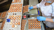 Торги по продаже «Бархатовской» птицефабрики продлены на два месяца