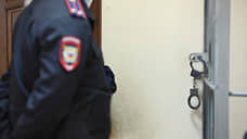 Житель Алтайского края, похитивший 12-летнюю девочку, осужден на 20 лет