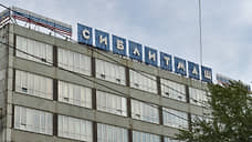 Новосибирский завод «Сиблитмаш» возглавила бывший депутат заксобрания