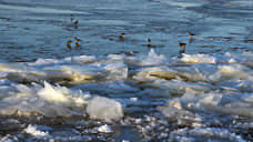 В Хакасии отмечается подъем воды в Енисее