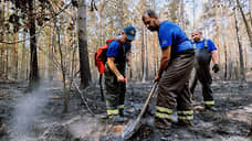Во всех красноярских и томских лесах ввели режим ЧС