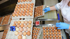 Группа «ПРОДО» вложит в омскую птицефабрику в 2023 году более 120 млн рублей