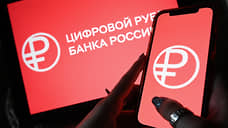 Противников идеи цифрового рубля в Сибири стало больше