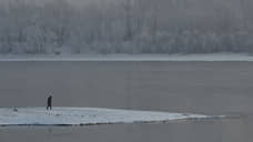 В Красноярске «морж» пропал во время заплыва