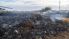 Мусорный полигон горит в Алтайском крае