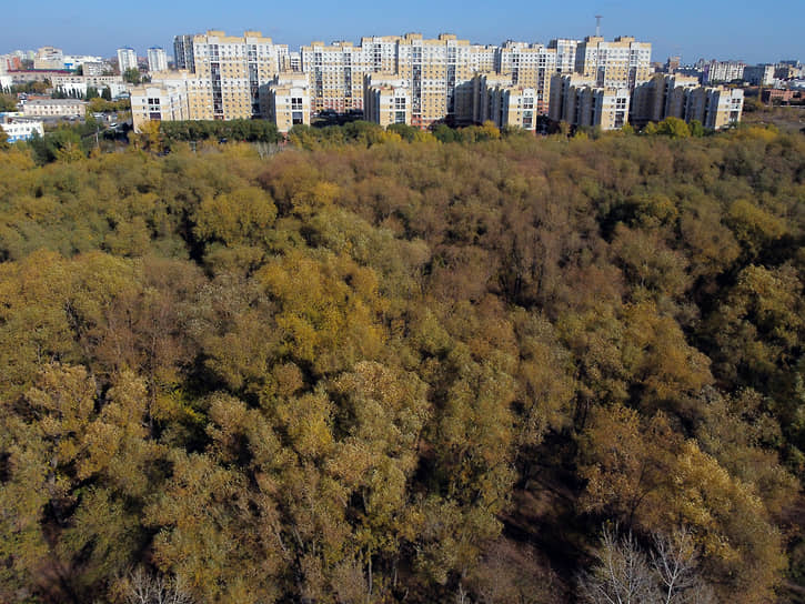 Парк "Зеленый остров" в Омске