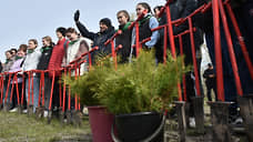В Хакасии высадили деревья в виде надписи «ПОБЕДА 80»