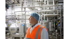 Цех по переработке молочной продукции за 500 млн рублей построят в Приангарье