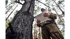 Тува запросила помощь других регионов и МЧС России в тушении лесных пожаров