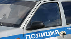 В результате столкновения с лосем погибли два человека под Новосибирском