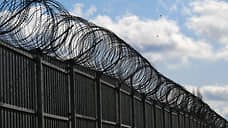 Иркутский суд отправил в колонию блогершу, покусавшую полицейского