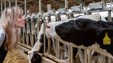 Животноводческий комплекс за 500 млн руб. построят в Омской области