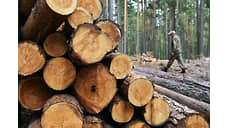 Объем незаконных рубок леса в Приангарье сократился на 71%