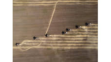 Красноярские аграрии собрали 2,63 млн тонн зерна