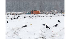 Растительные отходы из Абакана придется вывозить в соседние муниципалитеты