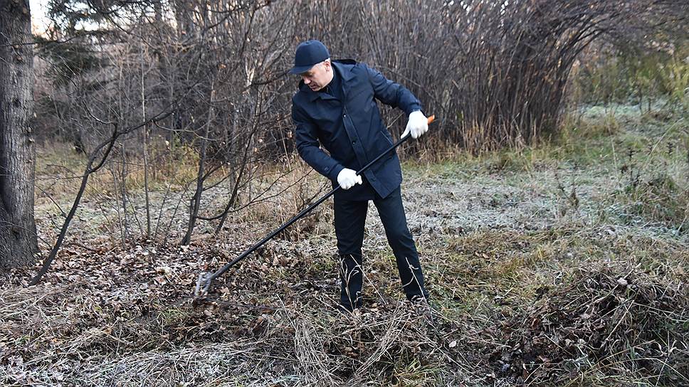 Октябрь 2017 года. Врио губернатора Андрей Травников на субботнике в Дендрологическом парке.