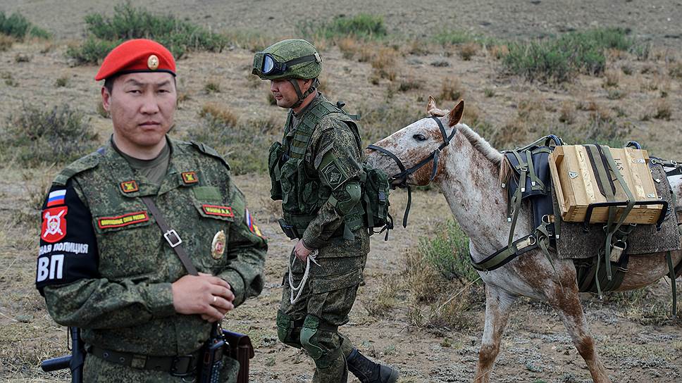 Лошадь доставляет боеприпасы на позицию, где запланированы учения