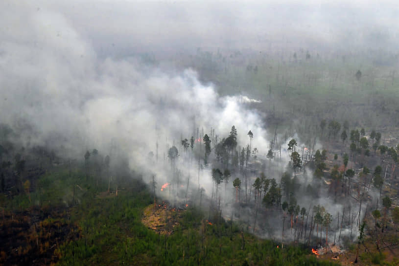 В Якутии с начала года зафиксировано 1227 природных пожаров
