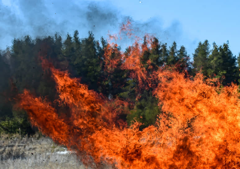 Командно-штабные учения по тактике и технике тушения ландшафтных пожаров в Ордынском районе Новосибирской области. Пал травы на фоне лесного массива
