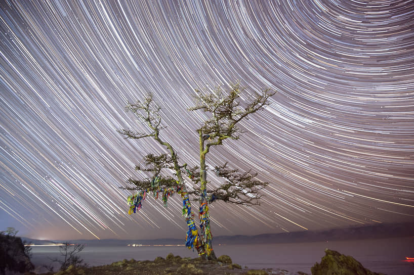 Композитное изображение звездного неба, снятое на длительной выдержке, и собранное из нескольких десятков кадров в одно. На фото: дерево на скале Шаманка на берегу Байкала
