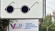 Сибирь голосующая