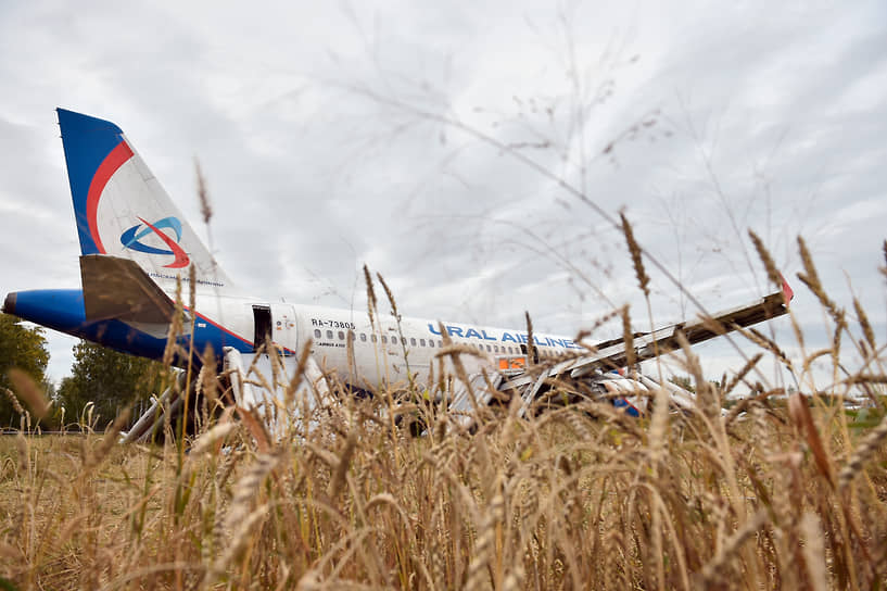 Пассажирский самолет авиакомпании «Уральские авиалинии» совершил вынужденную посадку на грунт в Убинском районе Новосибирской области. На борту лайнера, следовавшего по маршруту Сочи-Омск, находились 167 человек, в том числе 6 членов экипажа и 23 ребенка. Пострадавших нет