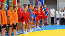 До конца года в рамках проекта «Za самбо» спортзалы откроют в Бердске, Чулыме и Татарске