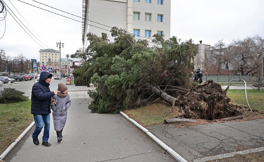 Последствия урагана в Барнауле