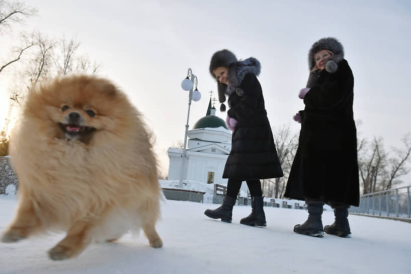 Горожане во время прогулки с собакой в окрестностях церкви Иоанна Предтечи в Нагорном парке в Барнауле
