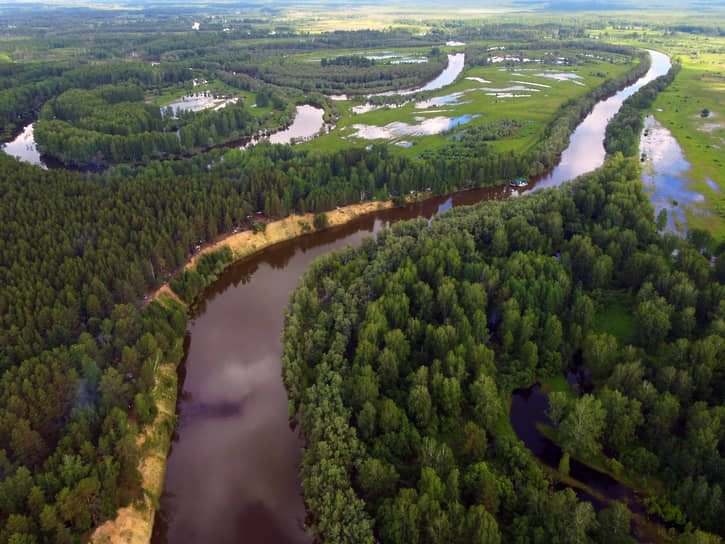 Вид на реку Тара близ деревни Окунево, Омская область