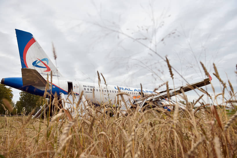 На фото: самолет Airbus A320 авиакомпании «Уральских авиалиний», совершивший аварийную посадку на пшеничное поле в Убинском районе Новосибирской области, через несколько часов после происшествия