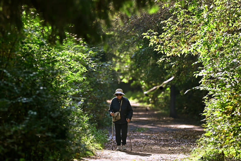 Виды парка культуры и отдыха «Зеленый остров» в Омске