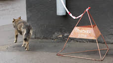 «Надо же что-то делать»