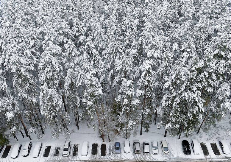Виды новосибирского Академгородка после снегопада