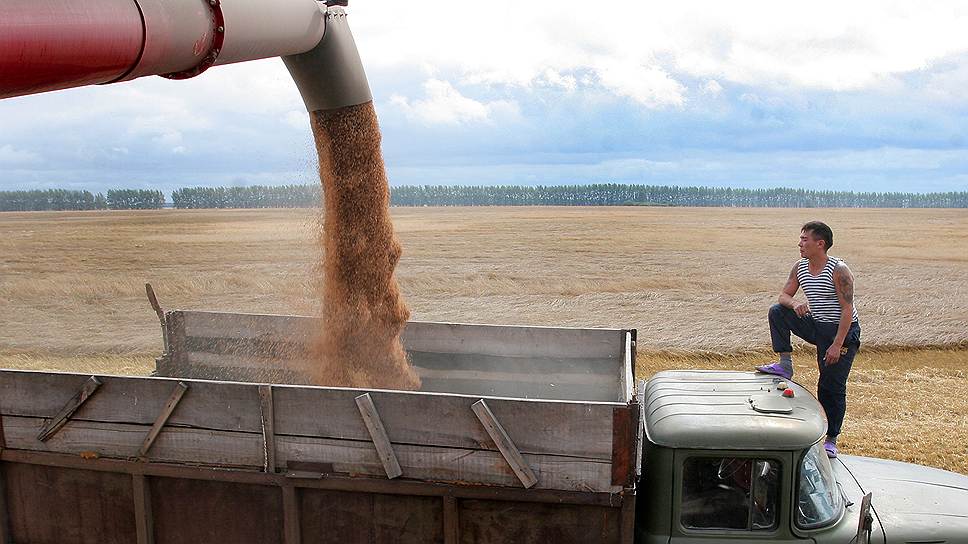 Глубокая переработка зерна сегодня одно из наиболее перспективных направлений для инвестиций