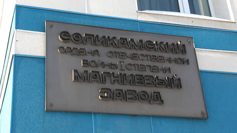 Это миноритарно // Апелляция объяснила отказ в изъятии акций у основной части совладельцев СМЗ
